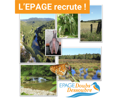 Offre d’emploi Chargé(e) de mission Communication