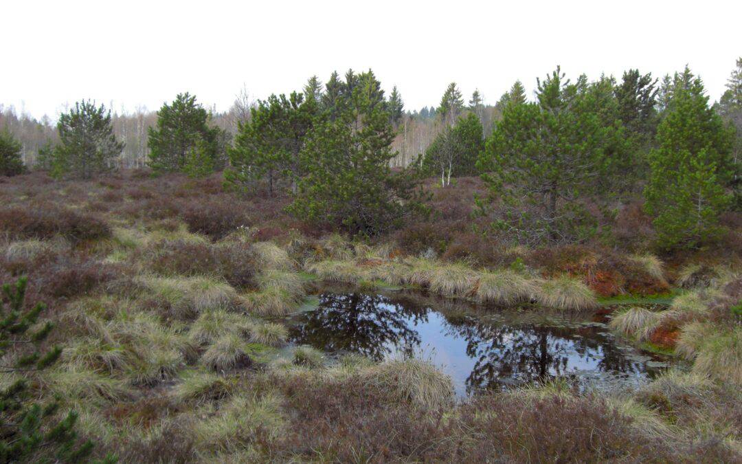La dotation d’aménités rurales : un dispositif au service des communes rurales