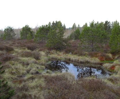 La dotation d’aménités rurales : un dispositif au service des communes rurales