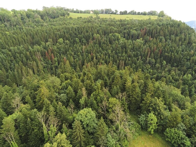 Offre de stage NATURA 2000