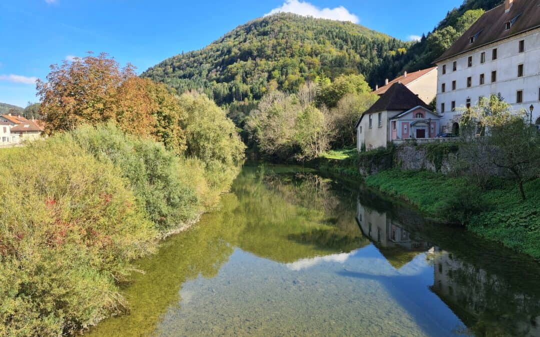Offre de stage plan de gestion stratégique des milieux humides