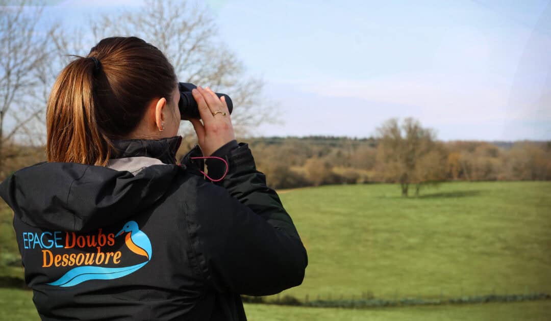 Offre de stage « Développement d’un programme d’animations sur les milieux naturels »