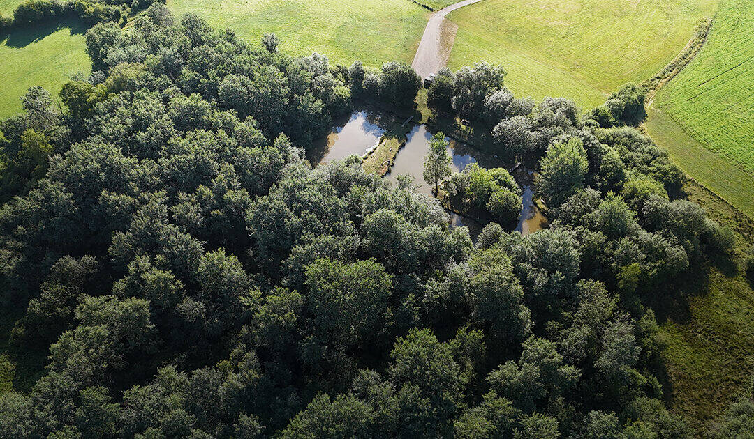 Offre d’emploi : Chargé(e) de mission Plan de gestion des milieux humides