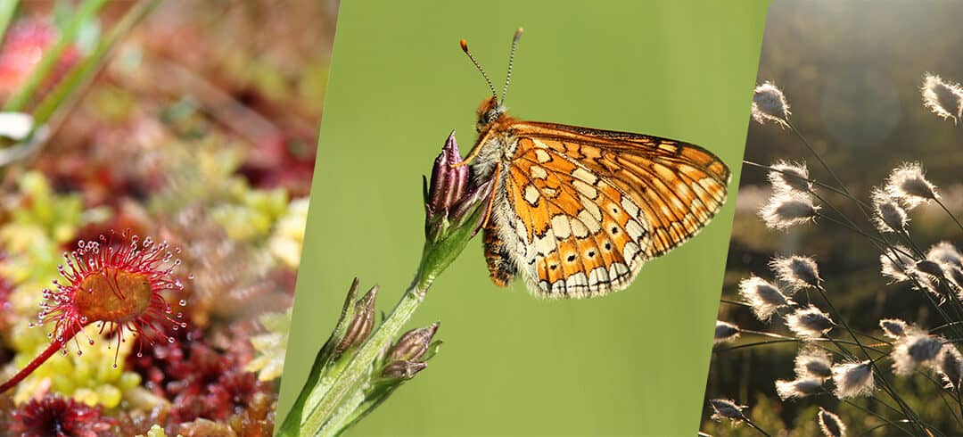 CONCOURS PHOTO 2026 – NATURA2000