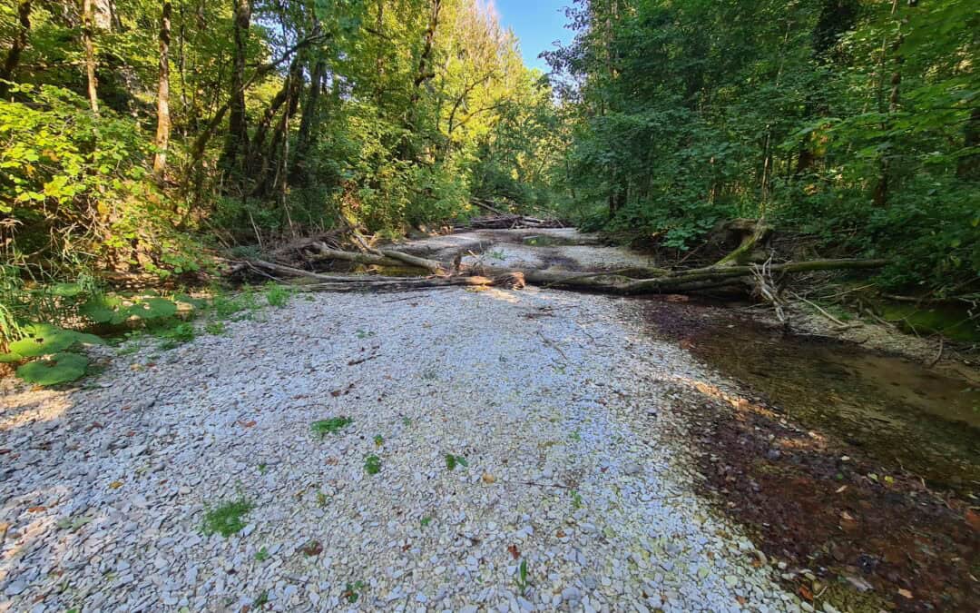 Le Département du Doubs passe en alerte renforcée et restriction des usages de l’eau.