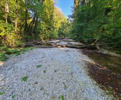 Le Département du Doubs passe en alerte renforcée et restriction des usages de l’eau.