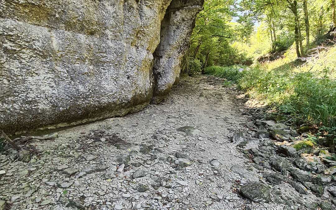 Alerte sécheresse : Le niveau du Doubs baisse rapidement.