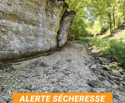 Alerte sécheresse : Le niveau du Doubs baisse rapidement.